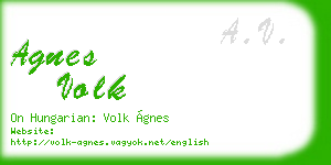 agnes volk business card